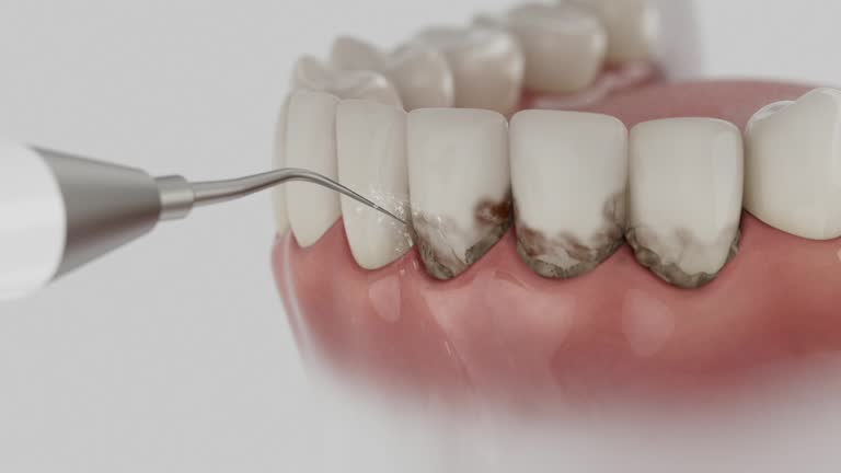 Reliable Dental contractor in Richville, OH by Dentist Open Now